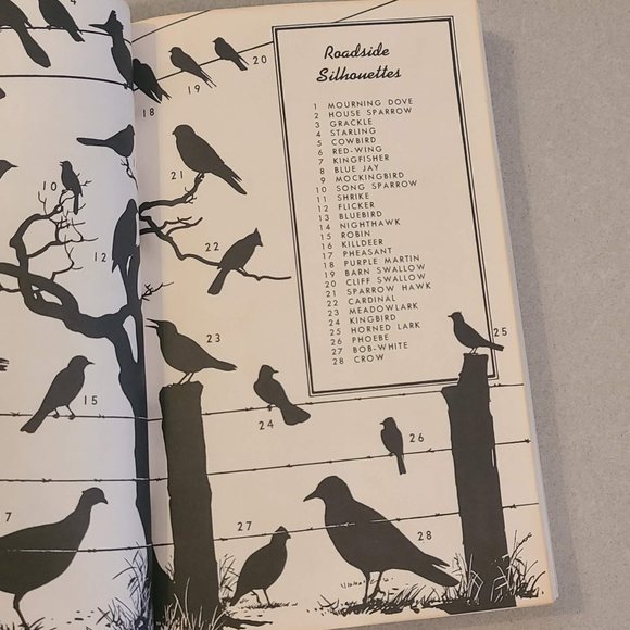 A Field Guide to the Birds by Roger Tory Peterson - Picture 2 of 6